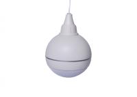 Оповещатель речевой потолочный «Глагол ПШ-10»